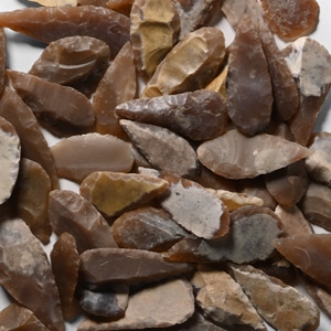 Stone Age Small Leaf-Shaped Arrowhead Collection