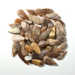 Stone Age Small Leaf-Shaped Arrowhead Collection