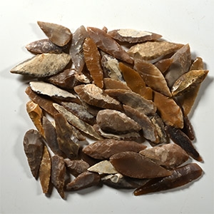 Stone Age Angular and Other Arrowhead Collection