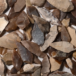 Stone Age Angular and Other Arrowhead Collection
