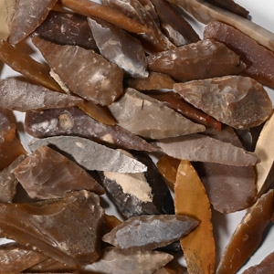 Stone Age Angular and Other Arrowhead Collection