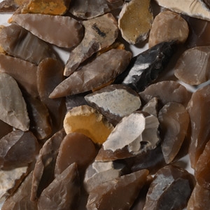 Stone Age Leaf-Shaped and Other Arrowhead Collection