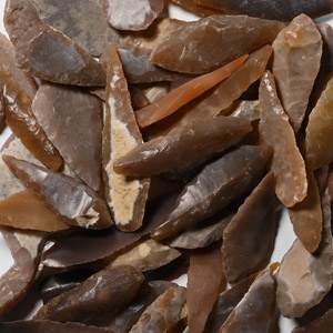 Stone Age Angular and Other Arrowhead Collection