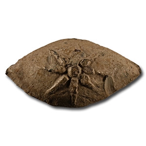 Greek Macedonian Lead Sling Shot