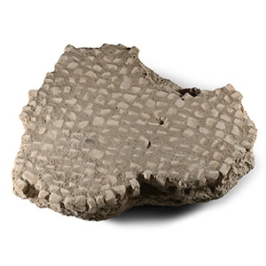Roman Mosaic Floor Section