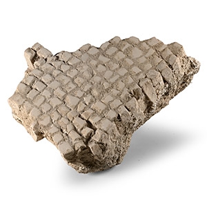 Roman Floor Mosaic Section