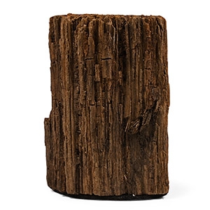 Iron Age Celtic Period Bog Oak Section