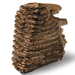 Woolly Mammoth Tooth