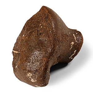 Fossil Woolly Mammoth Leg Bone Section