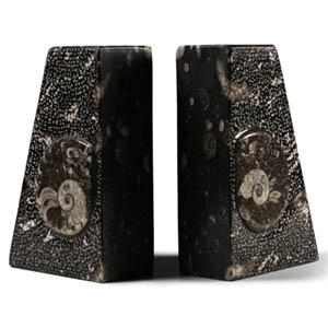 Polished Fossil Goniatite Bookend Pair
