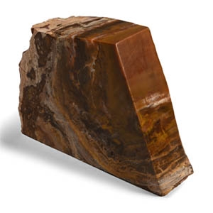 Polished Fossil Tree Chunk