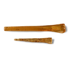 Insects in Copal Pair