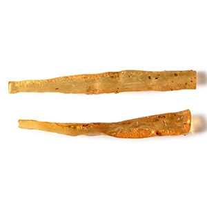 Insects in Copal Pair