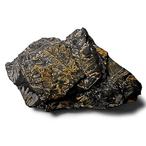 Fossil Fern Leaves in Matrix