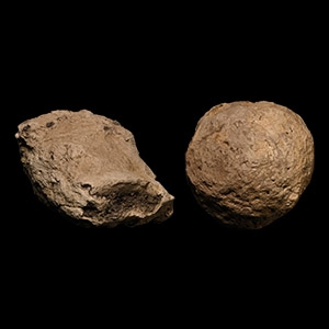 Fossil Tyrannosaurus Rex Dinosaur Coprolite