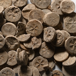 Egyptian Limestone Floral Inlay Group