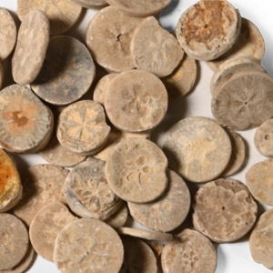 Egyptian Limestone Floral Inlay Group
