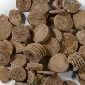 Romano-Egyptian Limestone Floral Inlay Group