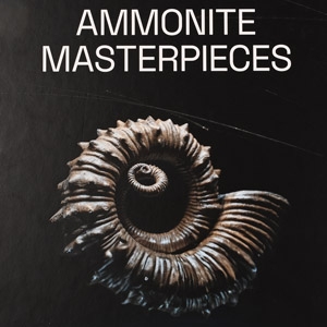 Ammonite Masterpieces