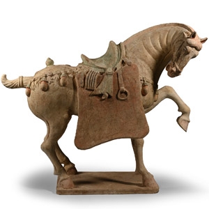 Chinese Tang Terracotta Horse