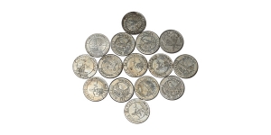 Group of Fifteen [15] USA, Florida Tokens.