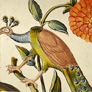 Stained Glass Panel with a Peacock