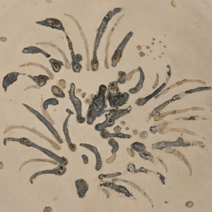 Massive Hoi An Cargo Shipwreck Glazed Plate