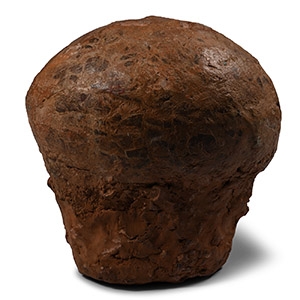 Hadrosaur Dinosaur Egg
