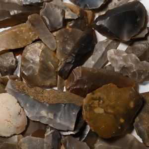 Stone Age Knapped Flint Tool Collection