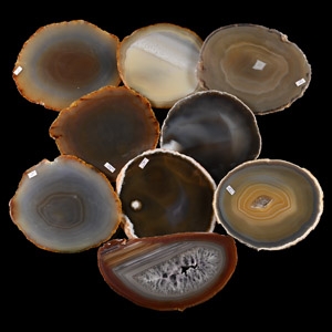 Cut and Polished Agate Geode Slice Collection [9]