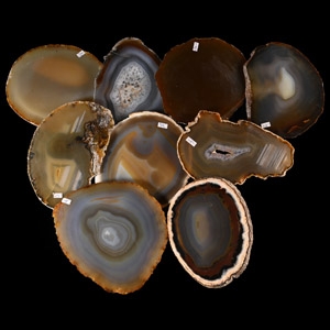 Cut and Polished Agate Geode Slice Collection [9]