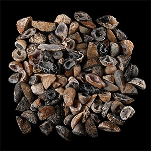 Cut and Polished Mini Agate Crystal Geode Group [100]