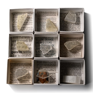 Boxed Optical Selenite Mineral Specimen Group [9]