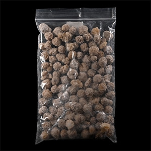 Desert Rose Gypsum Specimen Group [100]