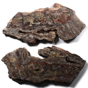 Large Cut Malawi Agate Boulder Section Pair [2]