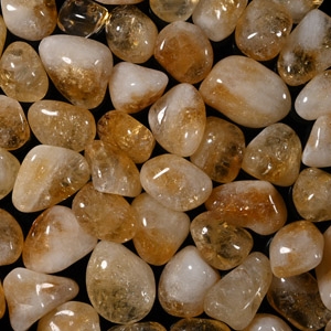 Polished Citrine Crystal Specimen Group [47]