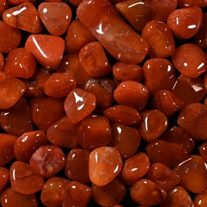 Polished Carnelian Specimen Group [82]