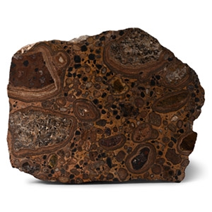 Large Cut and Polished Puddingstone Display Slab