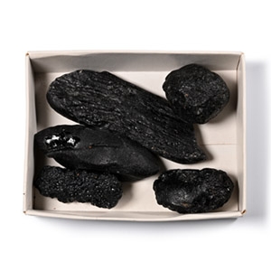 Meteorite Crater Tektite Specimen Collection [5]