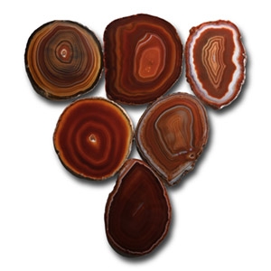 Cut and Polished Agate Slice Collection [6]