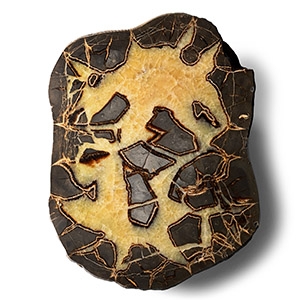 Massive Cut and Polished Septarian Egg Half