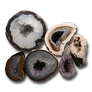 Cut and Polished Agate Crystal Geode Half Collection [6]