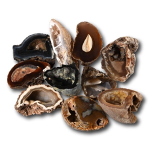 Cut and Polished Agate Crystal Geode Half Collection [10]