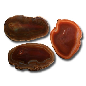 Large Cut and Polished Agate Slice Collection [3]