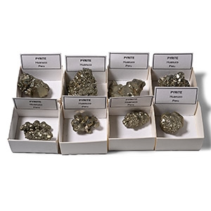 Boxed Pyrite Crystal Mineral Specimen Collection [8]