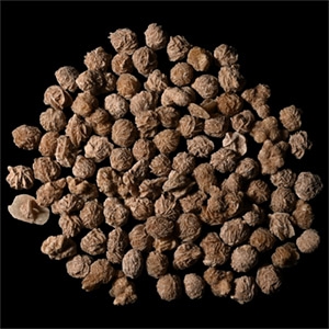 Desert Rose Gypsum Mineral Specimen Group [50]