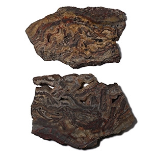 Large Cut and Polished Agate Slice Pair [2]