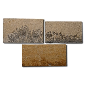 Dendritic Limestone Plant-Like Formation Tile Group [3]
