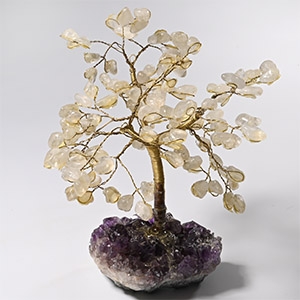 Quartz Tree on Amethyst Crystal Geode Section