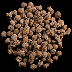 Desert Rose Gypsum Mineral Specimen Group [100]